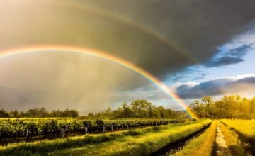 México presenta una amplia variedad de climas debido a su ubicación geográfica y altitud, desde zonas tropicales hasta regiones áridas con temperaturas extremas.