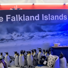 Banderas y folletería de las Islas Malvinas en la feria ganadera del Prado.