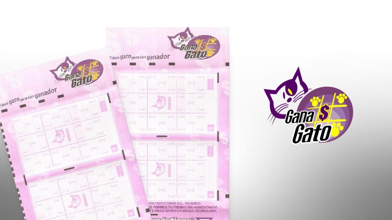 El sorteo de Gana Gato se realiza tres veces por semana y los Resultados son anunciados conforme a horarios fijos establecidos por la Lotería Nacional Para la Asistencia Pública.