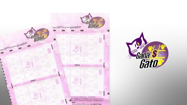 El sorteo de Gana Gato se realiza tres veces por semana y los Resultados son anunciados conforme a horarios fijos establecidos por la Lotería Nacional Para la Asistencia Pública.