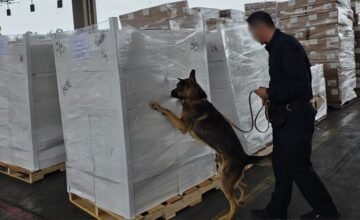 El gobierno mexicano detiene un cargamento con metanfetamina y fentanilo en el punto fronterizo de Tijuana, una acción que forma parte de estrategias para prevenir el ingreso de.