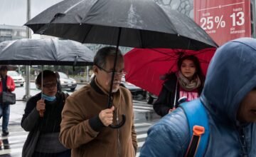 Acumulación de granizo cubriendo el césped y las calles tras el temporal.