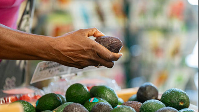 Manos evaluando la firmeza de una palta en una verdulería.