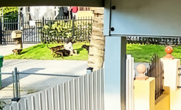 Cercado residencial en la calle 145 NW de Miami-Dade donde ocurrió el ataque canino.