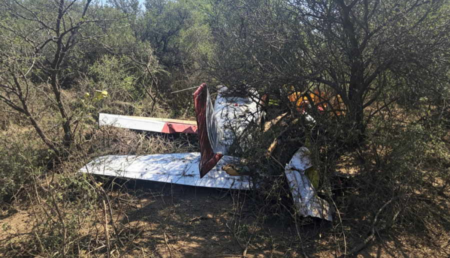 Bomberos y policías trabajan en la zona arbolada donde cayó la avioneta en Córdoba.