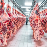 Cortes de carne vacuna en plantas frigoríficas de exportación en Paraguay.