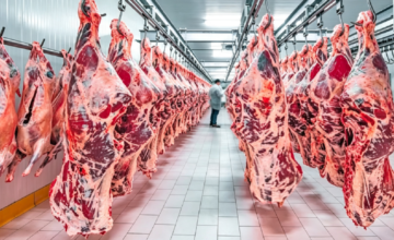 Cortes de carne vacuna en plantas frigoríficas de exportación en Paraguay.
