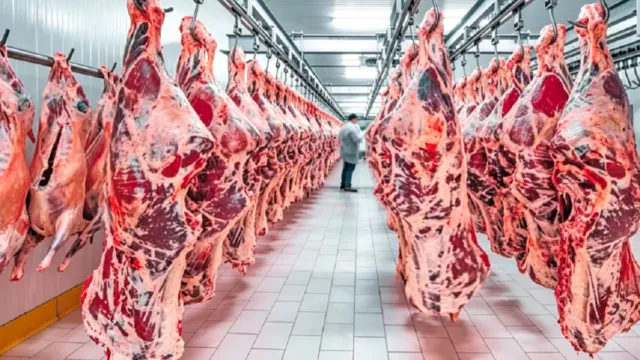 Cortes de carne vacuna en plantas frigoríficas de exportación en Paraguay.