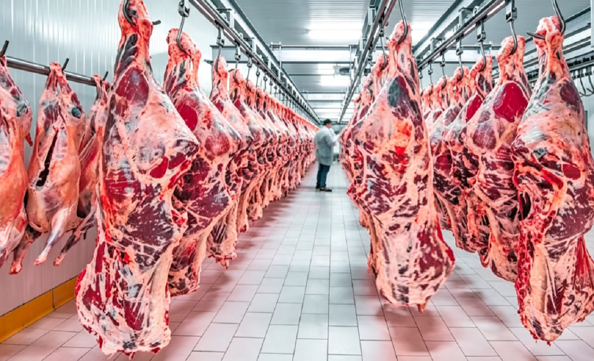 Cortes de carne vacuna en plantas frigoríficas de exportación en Paraguay.