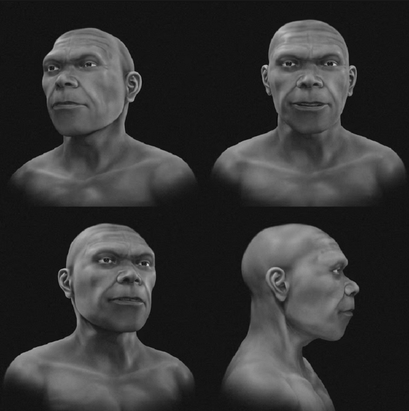 Modelo tridimensional del cráneo y la masa facial del homínido fósil hallado en Marruecos.