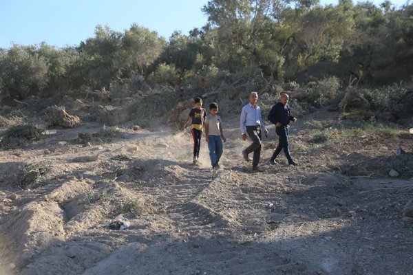 Amnistía denuncia nuevas órdenes de confiscación en Área A para conectar asentamientos