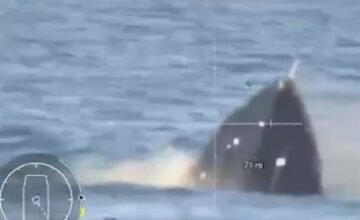 El conflicto se desarrolló en aguas del mar Negro durante una operación coordinada por la Inteligencia militar ucraniana, con el objetivo de proteger zonas estratégicas frente a.