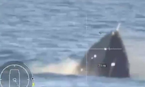 El conflicto se desarrolló en aguas del mar Negro durante una operación coordinada por la Inteligencia militar ucraniana, con el objetivo de proteger zonas estratégicas frente a.