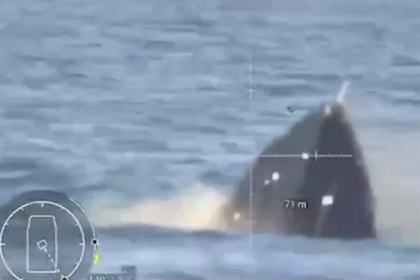 El conflicto se desarrolló en aguas del mar Negro durante una operación coordinada por la Inteligencia militar ucraniana, con el objetivo de proteger zonas estratégicas frente a.