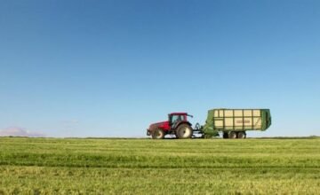 La seguridad alimentaria y la sostenibilidad rural son temas centrales en el debate sobre el futuro de la Unión Europea, con ciudadanos que priorizan cadenas de suministro.