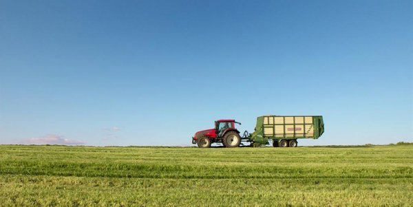 La seguridad alimentaria y la sostenibilidad rural son temas centrales en el debate sobre el futuro de la Unión Europea, con ciudadanos que priorizan cadenas de suministro.