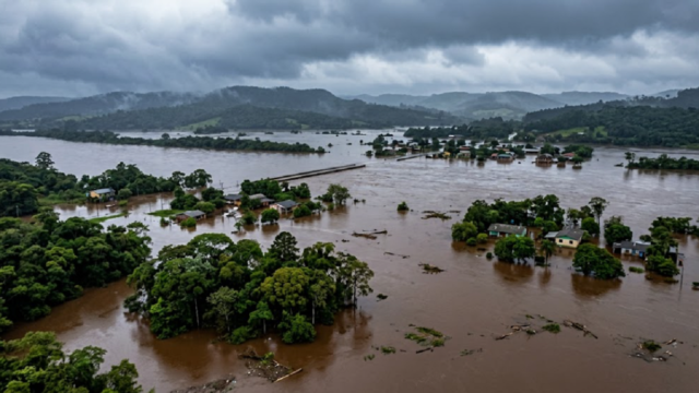 Caudal crecido del río Uruguay avanzando sobre la vegetación de la costa durante un temporal.