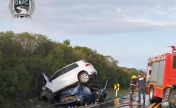 Efectivos de Policía Científica realizando pericias en una escena de siniestro vial.