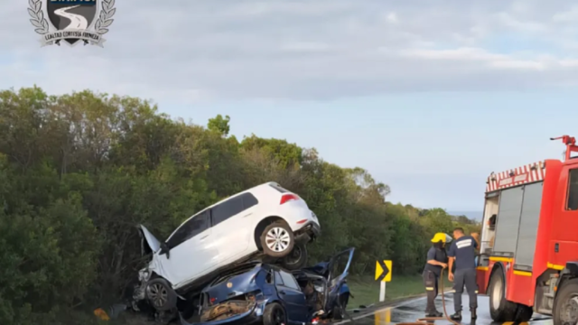 Efectivos de Policía Científica realizando pericias en una escena de siniestro vial.