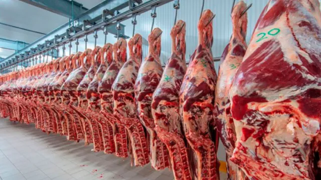 Cortes de carne bovina en plantas frigoríficas de la región