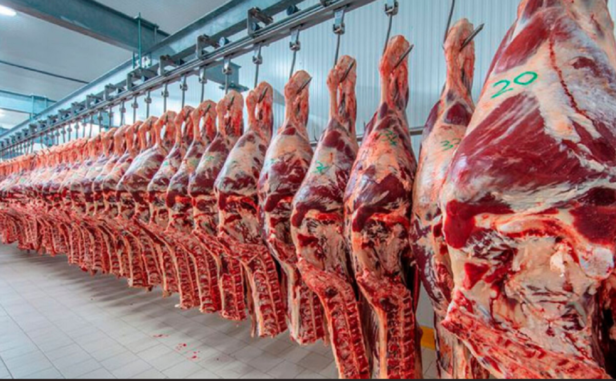 Cortes de carne bovina en plantas frigoríficas de la región