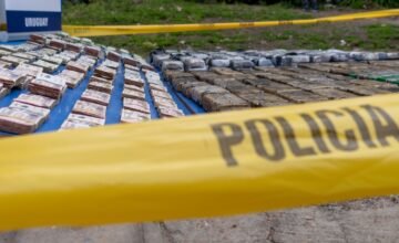 Incautación de droga, armamento y dinero en el procedimiento de la Operación Trazador.