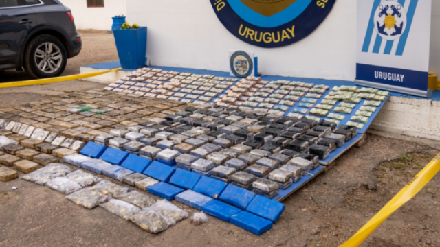 Armas, municiones y dinero en efectivo incautados durante la Operación Trazador.