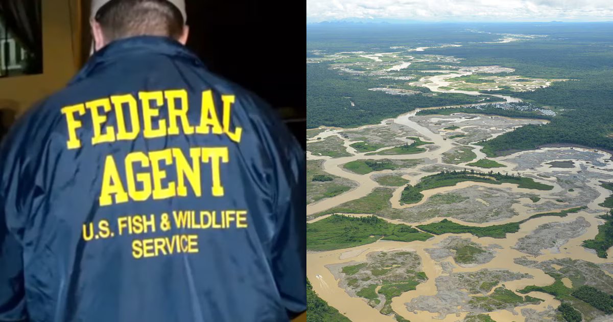 Operativo en Perú de agentes federales estadounidenses contra minería ilegal y Los Lobos 2