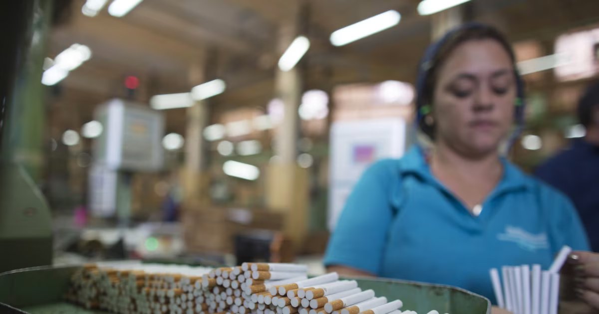 British American Tobacco pone fin a su asociación con Brascuba tras casi 30 años en Cuba