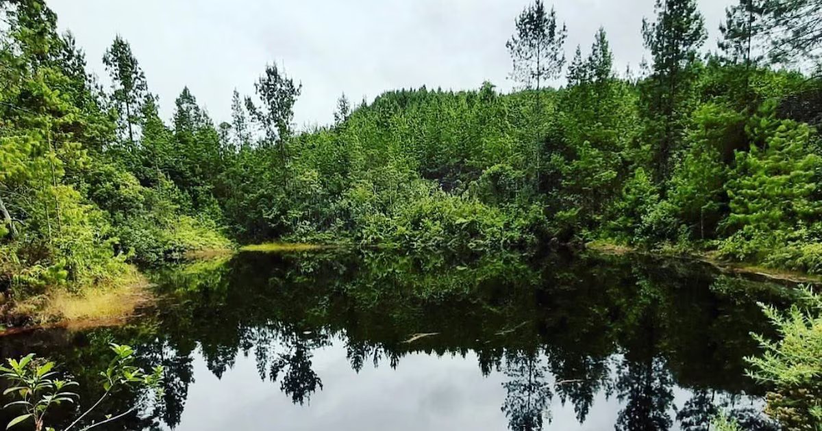 Laguna en forma de corazón, una joya oculta y mágica en Medellín