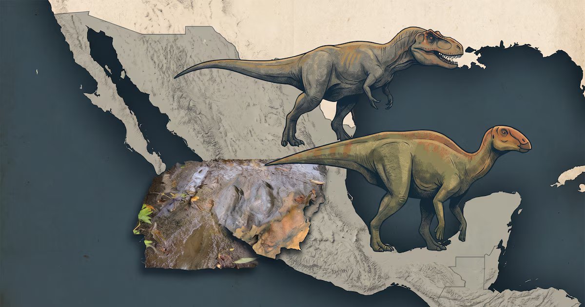Descubren 50 huellas de dinosaurios en Michoacán, incluyendo carnívoros, raptores y herbívoros de hace 65 millones de años