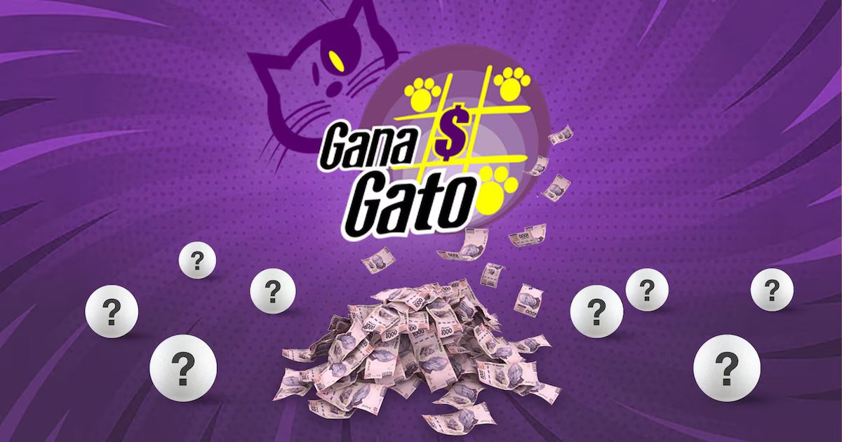 Descubre si ganaste en los últimos sorteos de Gana Gato