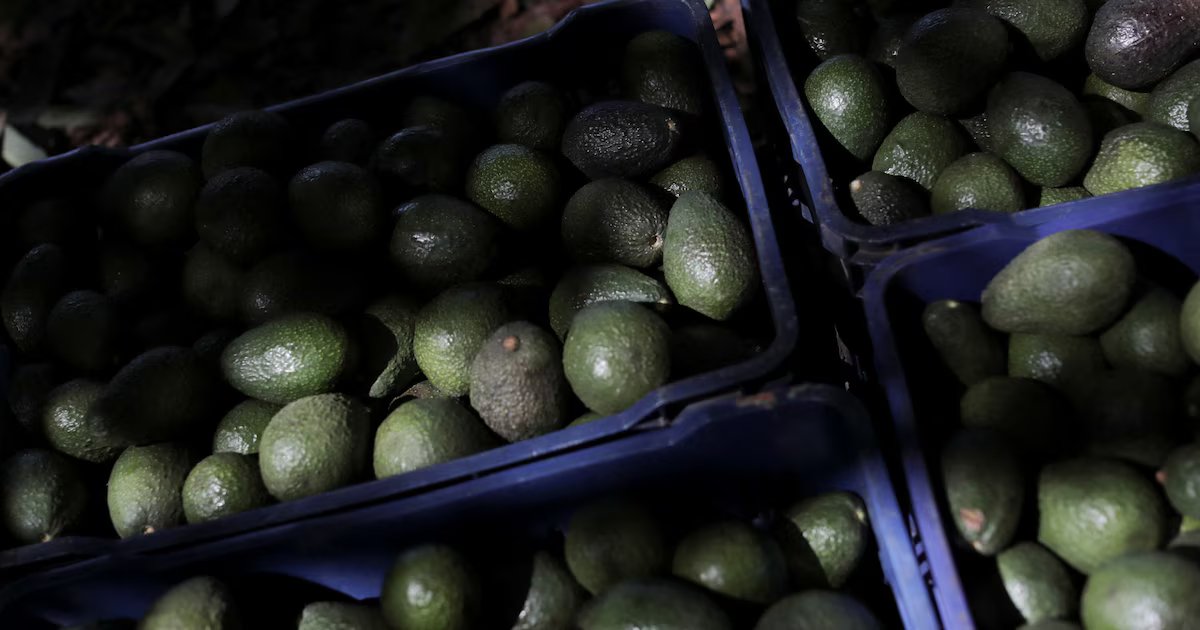 La garantía de éxito es incierta