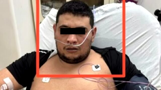 Autoridades de Hidalgo liberan 33 animales silvestres en rehabilitación, incluyendo zorros grises, tlacuaches y víboras de cascabel