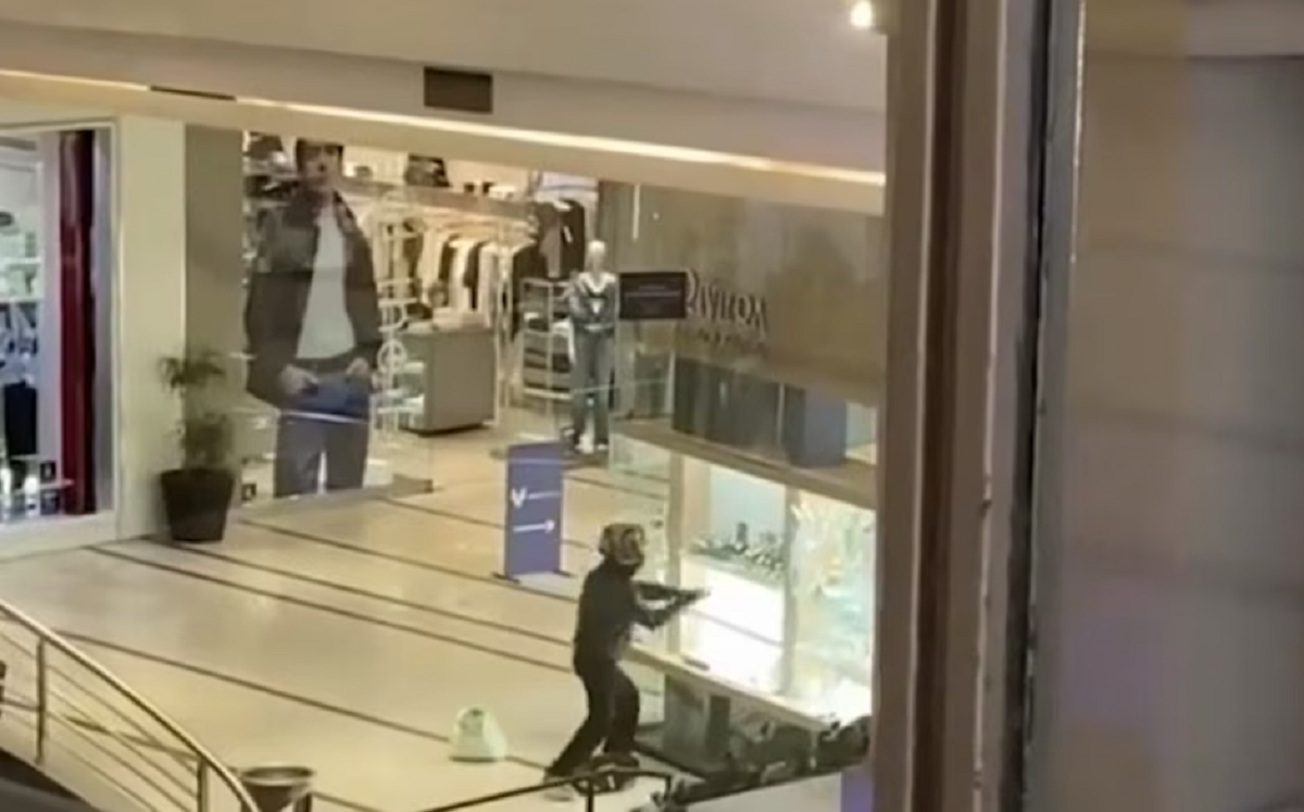 Vidriera de una joyería de centro comercial dañada tras un asalto.