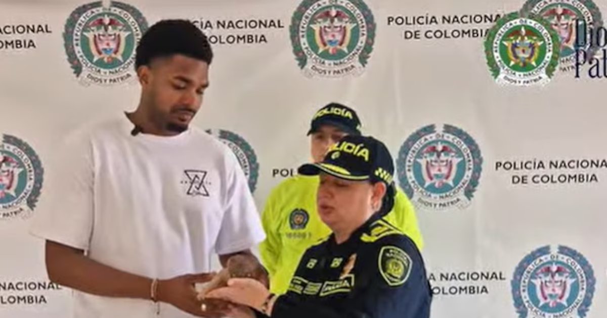 Robo del Niño Jesús en Medellín termina en recuperación en Armenia