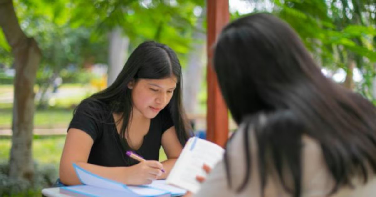 Becas Repared estarán disponibles para estudios universitarios e institutos: ¿quiénes son los beneficiarios?