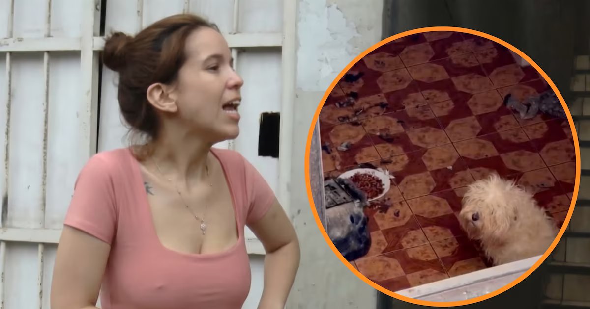 Vecinos difunden videos y audios en defensa de Greissy Ortega acusada de presunto maltrato animal, ella niega que sea su perro