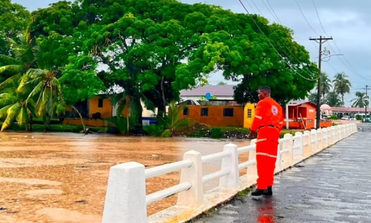 Carretera mojada con acumulación de agua y vegetación afectada por lluvias en Panamá.