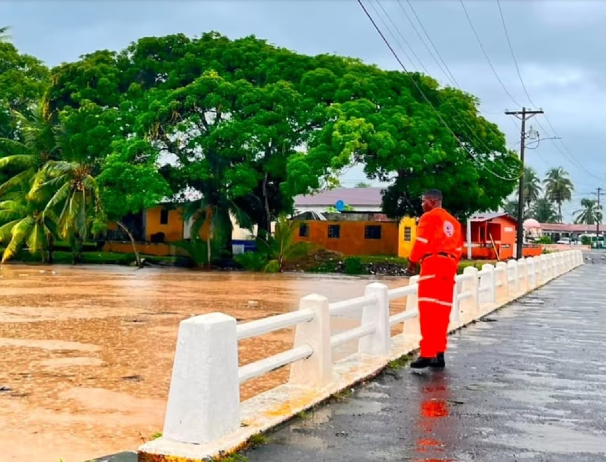 Carretera mojada con acumulación de agua y vegetación afectada por lluvias en Panamá.