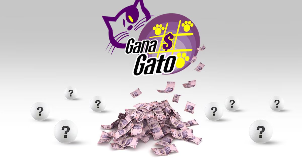 Cómo seguir en vivo los resultados del Gana Gato este sábado 10 de octubre