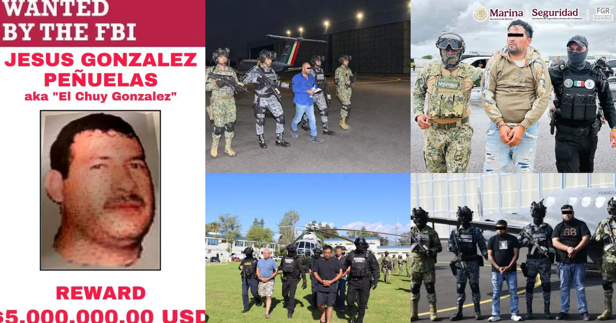 Cinco cárteles mexicanos considerados terroristas por EE.UU. sufren importantes golpes en cuatro días