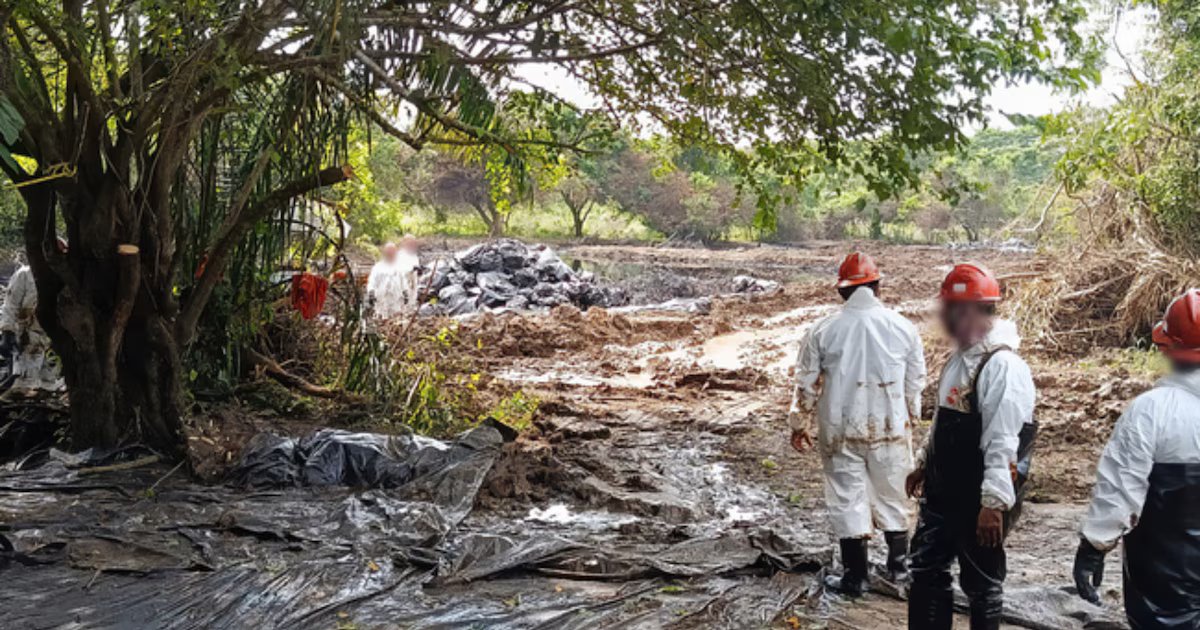 Profepa denuncia derrame de petróleo en Veracruz y ordena cierre temporal de planta de sal