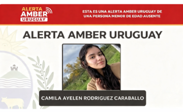 Afiche oficial de búsqueda del Ministerio del Interior con la Alerta Amber.