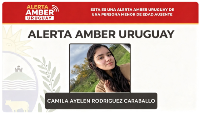 Afiche oficial de búsqueda del Ministerio del Interior con la Alerta Amber.