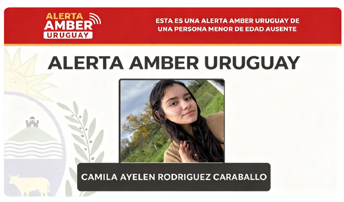Afiche oficial de búsqueda del Ministerio del Interior con la Alerta Amber.