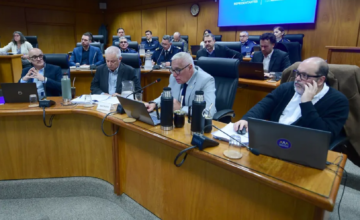 Sala de la Comisión de Seguridad y Convivencia de la Cámara de Diputados durante una sesión.
