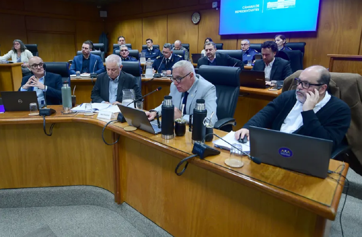 Sala de la Comisión de Seguridad y Convivencia de la Cámara de Diputados durante una sesión.