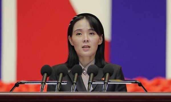Las autoridades norcoreanas han rechazado una iniciativa de Corea del Sur para enviar material médico, argumentando que constituye una agresión política y una invasión de.