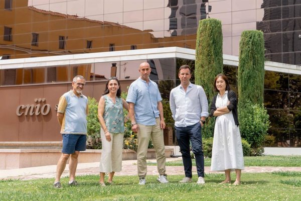 Cuatro científicos del CNIO obtienen ayudas de Fundación ‘la Caixa’ para avanzar en tratamientos contra el cáncer